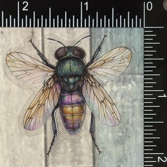 🌀10/$10🌀 Translucent Moth Dragonfly Beetle Reusable Waterproof Sticker Decal - Picture 1 of 1